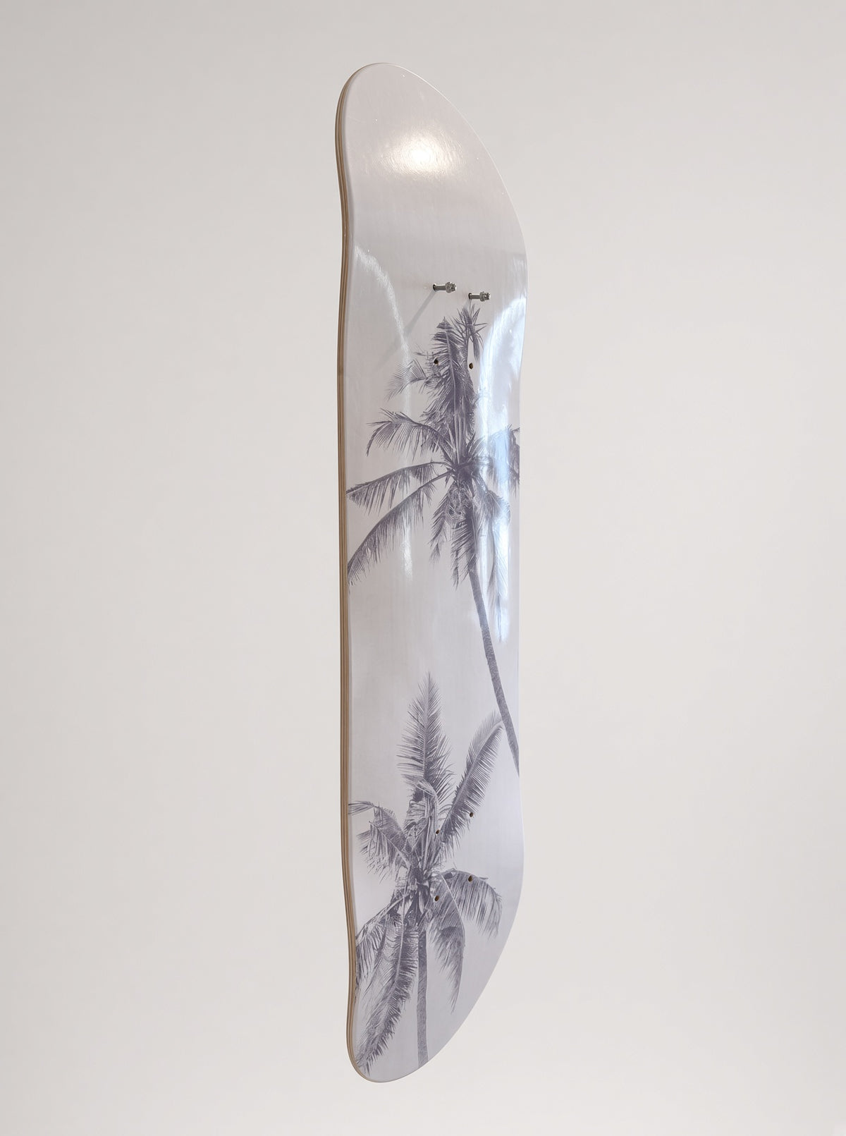 Palm Escape Tropical Shadow Skateboard Wall Art #5