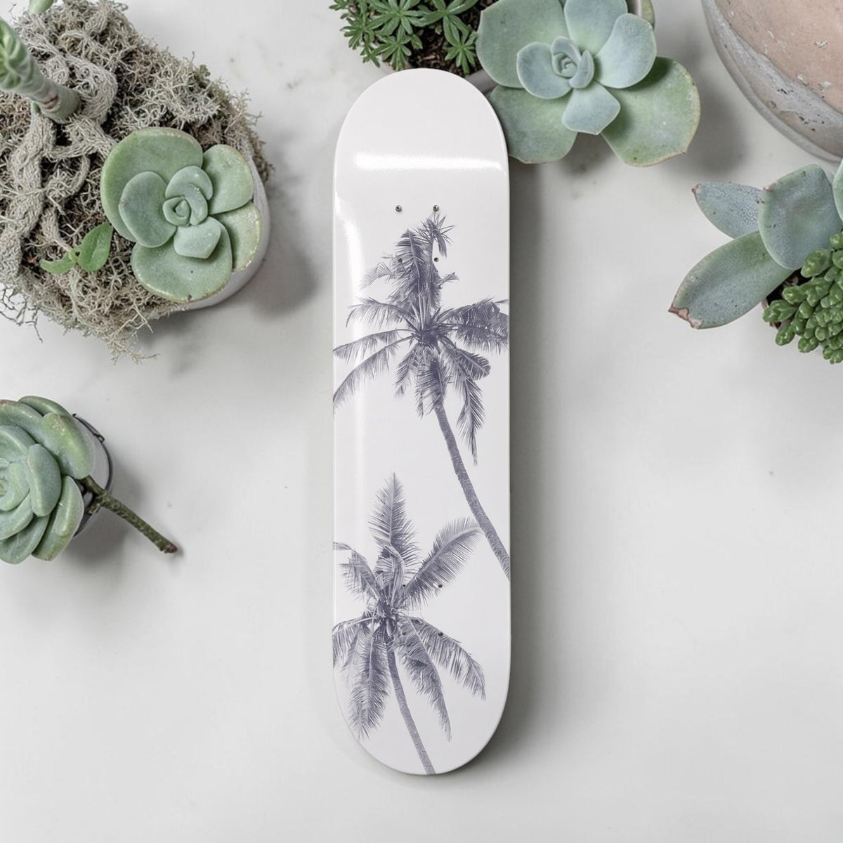 Palm Escape Tropical Shadow Skateboard Wall Art #5