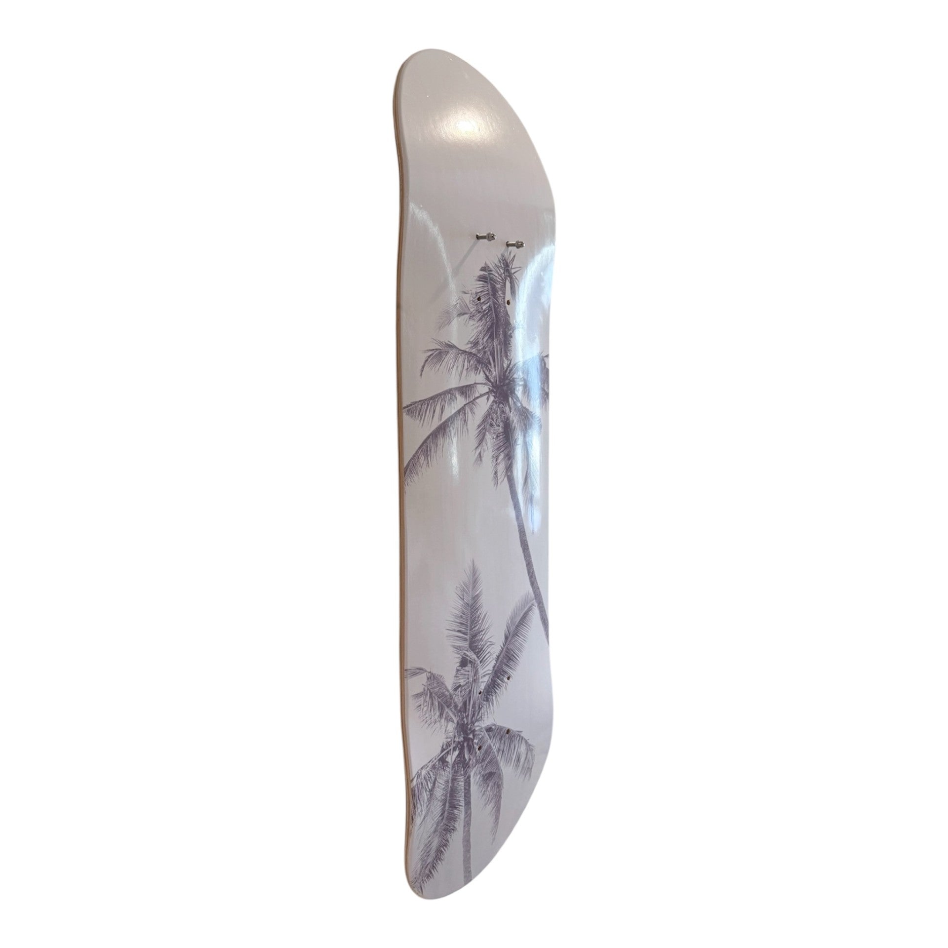 Palm Escape Tropical Shadow Skateboard Wall Art #5
