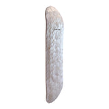 Blush Shell- Pink Capiz Shell Skateboard Wall Art – #DS-26